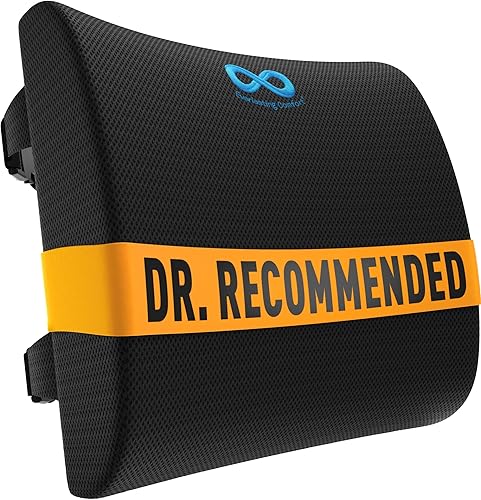 Everlasting Comfort lumbar support cushion for office chair
